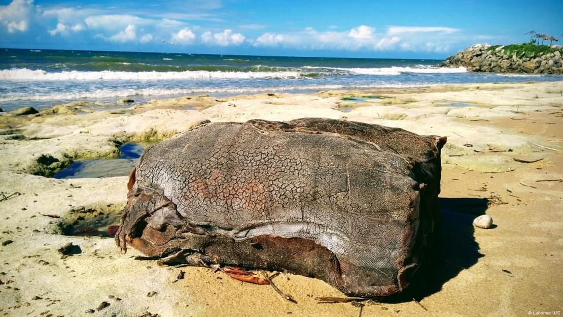 Caixas de borracha em praia do Ceará