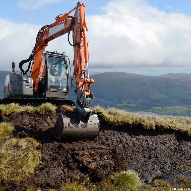 Restoring Scotland's peatlands – DW – 10/31/2019