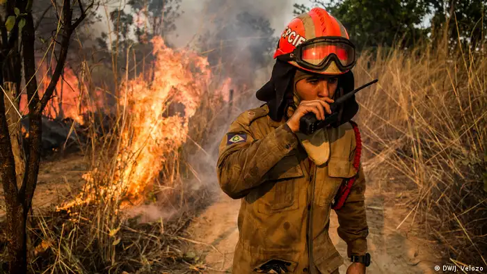 El Cerrado es también una de las más amenazadas. Ya se ha perdido alrededor de la mitad de sus áreas verdes, principalmente debido al cultivo de la soja.