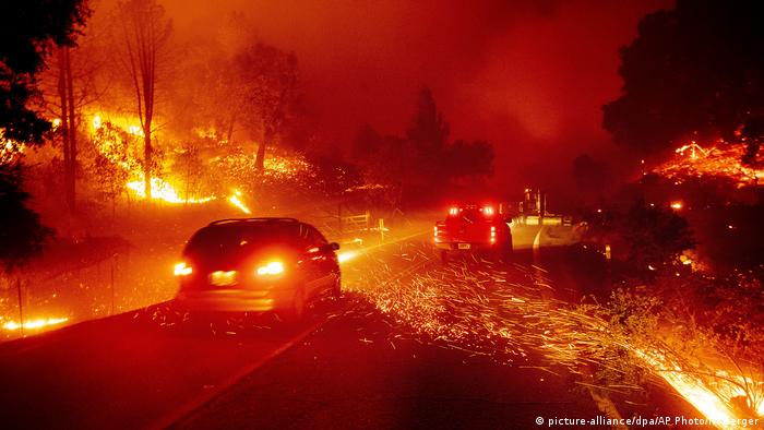 USA | Waldbrände in Kalifornien (picture-alliance/dpa/AP Photo/N. Berger)