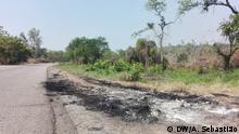 Moçambique: RENAMO acusa FRELIMO de incendiar casas e roubar animais