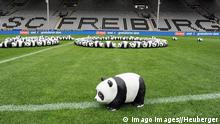 Klub Sepakbola Jerman dan Isu Perlindungan Iklim