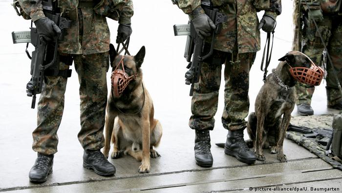 BG Militärhunde | Diensthundeführer der Bundeswehr (picture-alliance/dpa/U. Baumgarten)