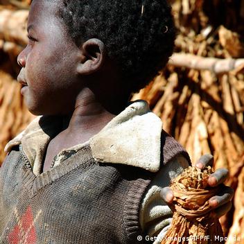 british american tobacco malawi Tobacco company rebukes Malawi child labor claims