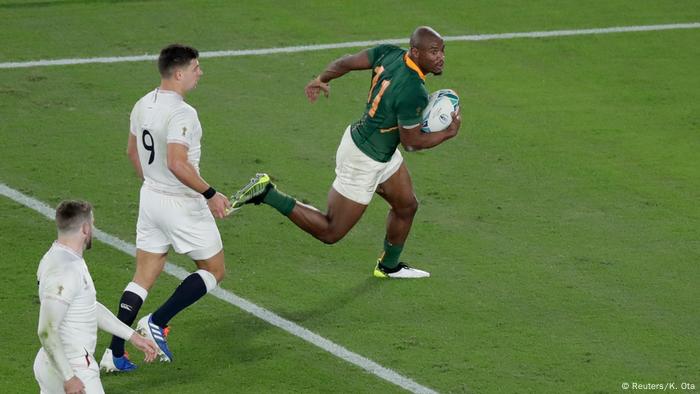 rugby world news