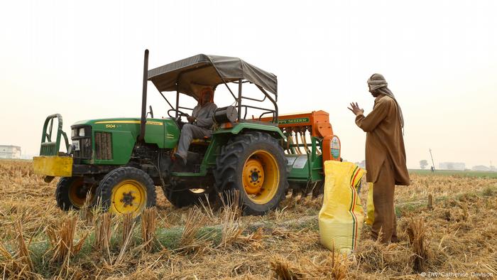 Indien Verbrennung von Ernterückständen (DW/Catherine Davison)
