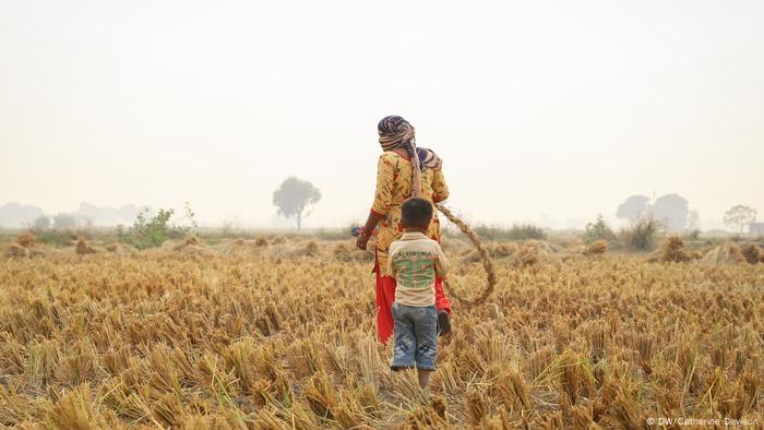 India Pollution How A Farming Revolution Could Solve Stubble Burning Environment All Topics From Climate Change To Conservation Dw 08 11 19