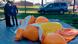 Baby Trump balloon deflated after being stabbed Baby Trump balloon deflated after being stabbed