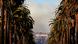 BdTD | Rauch | Hollywood BdTD | Rauch | Hollywood