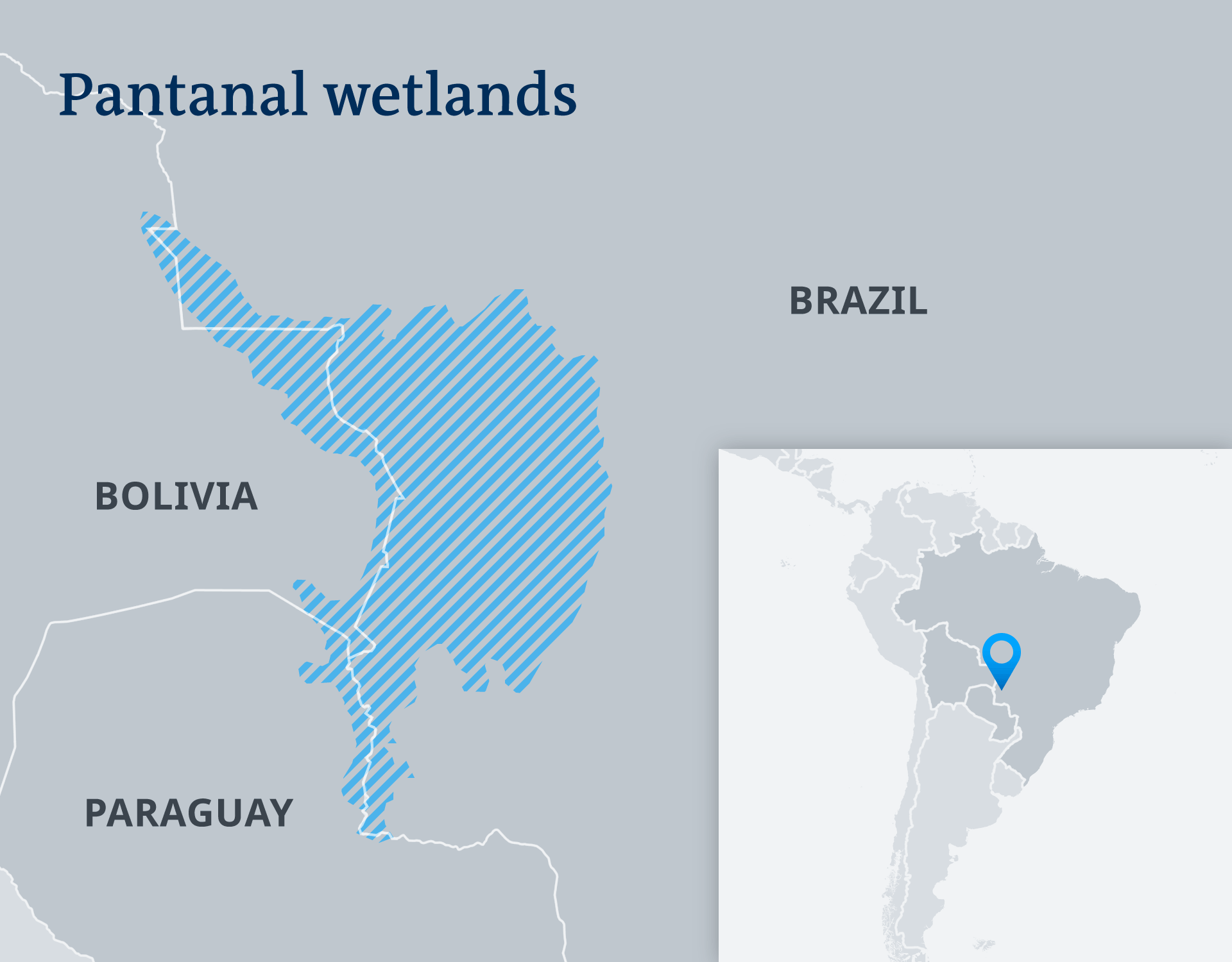 Brazil S Next Fire Disaster In The Pantanal Wetlands Americas North   51196884 7 