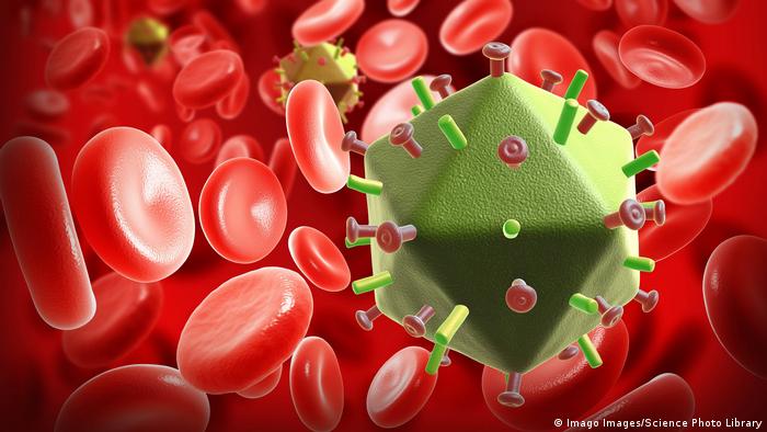 Вірус імунодефіциту людини в кровоносній системі