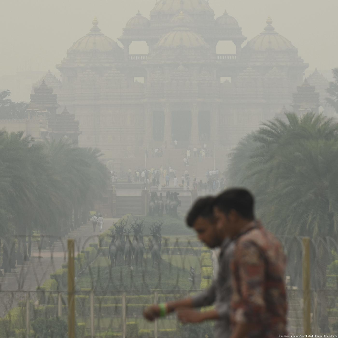 Living Planet: The Invisibles