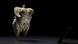 Venus of Hohle Fels Venus of Hohle Fels