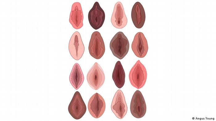 Vulva Shapes