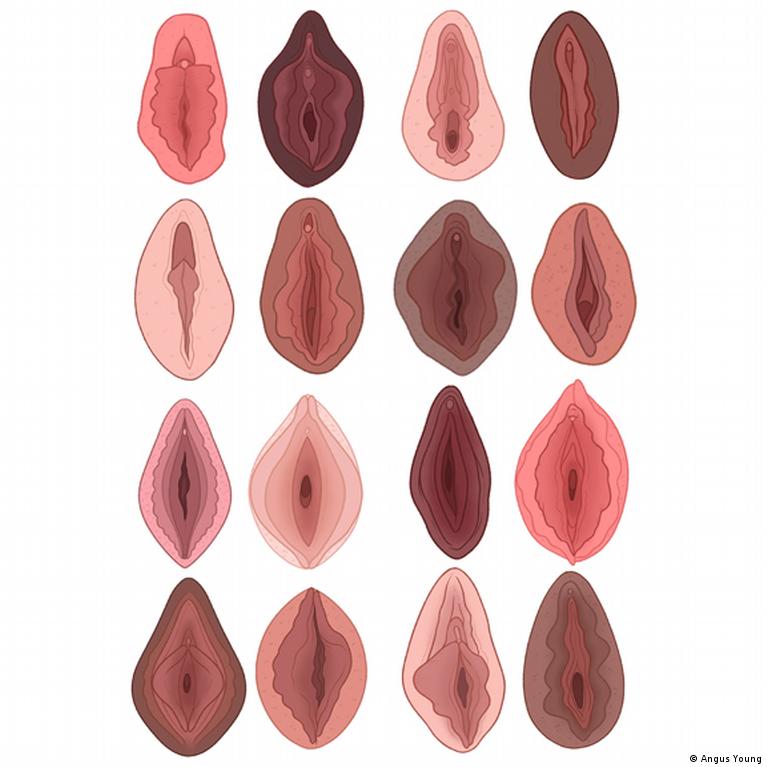 (+15 фото) Какие бывают вагины у девушек