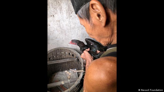Indonesien Plastikmüllverbrennung Hühner Giftstoffe
(Nexus3 Foundation)