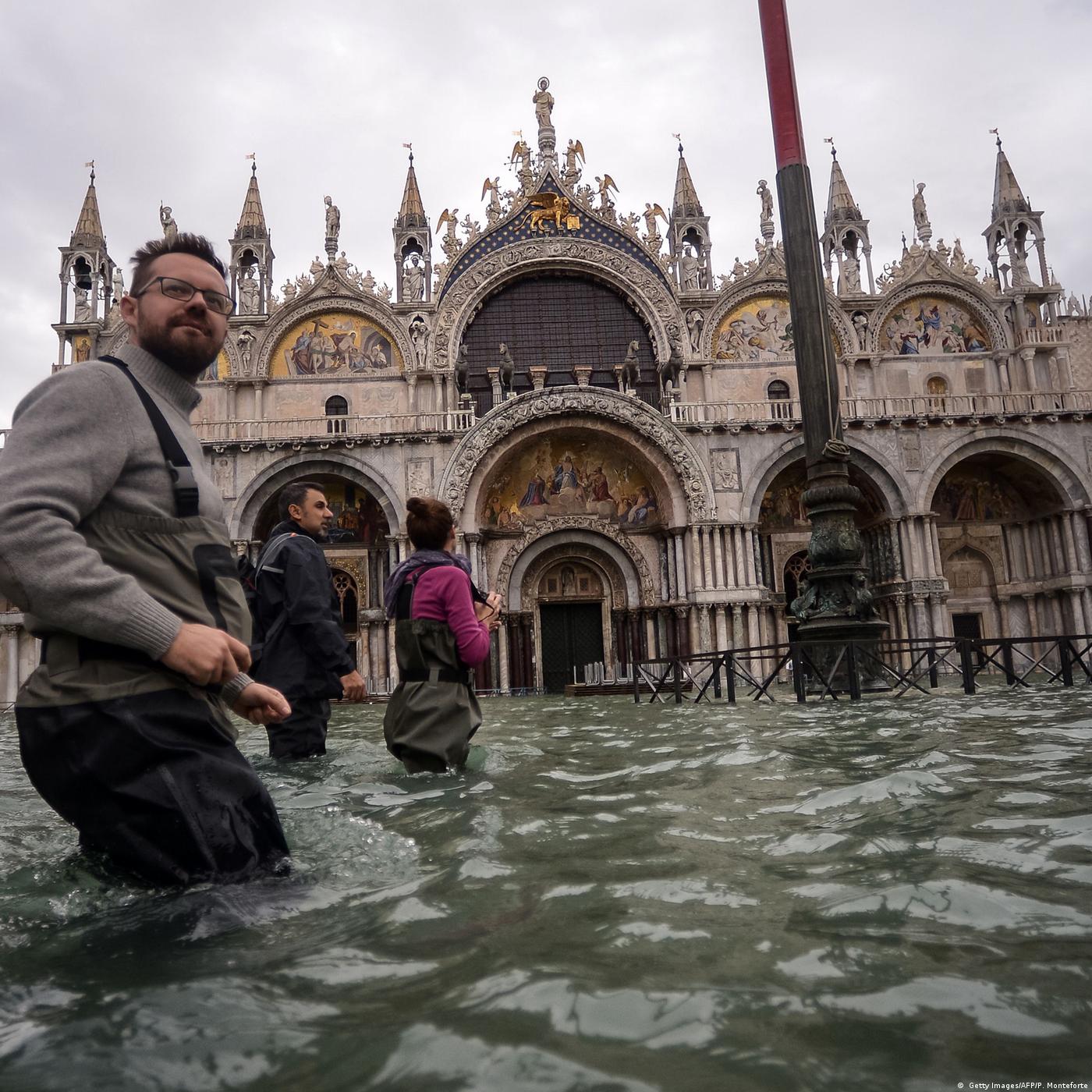 Living Planet: Resilience rising