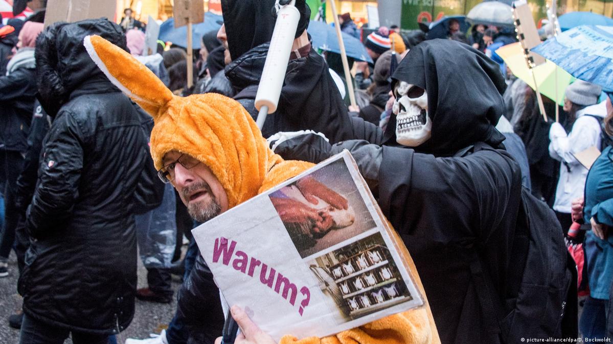 Hamburg: Thousands protest against animal testing – DW – 11/16/2019