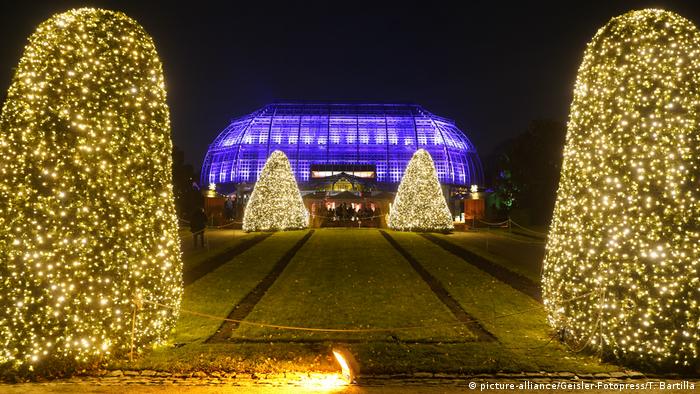 Deutschland Christmas Garden in Berlin (picture-alliance/Geisler-Fotopress/T. Bartilla)