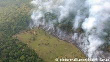 ARCHIV - Ein Streifen des Regenwalds des Amazonas nahe der brasilianischen Stadt Manaos wird durch Brandlegung gerodet (Archivfoto vom 04.11.2003). Foto: Marcelo Sayao/dpa (zu dpa «Kampf gegen Gen-Klau: Warum Deutschland dem Nagoya-Protokoll beitritt» vom 21.04.2016) +++(c) dpa - Bildfunk+++ |