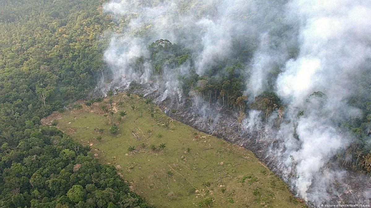 EUA anunciam pacto contra desmatamento da Amazônia – DW – 22/10/2021, image size:1199x674