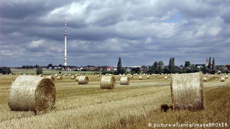 <div>Exposed: How big farm lobbies undermine EU's green agriculture plan</div>