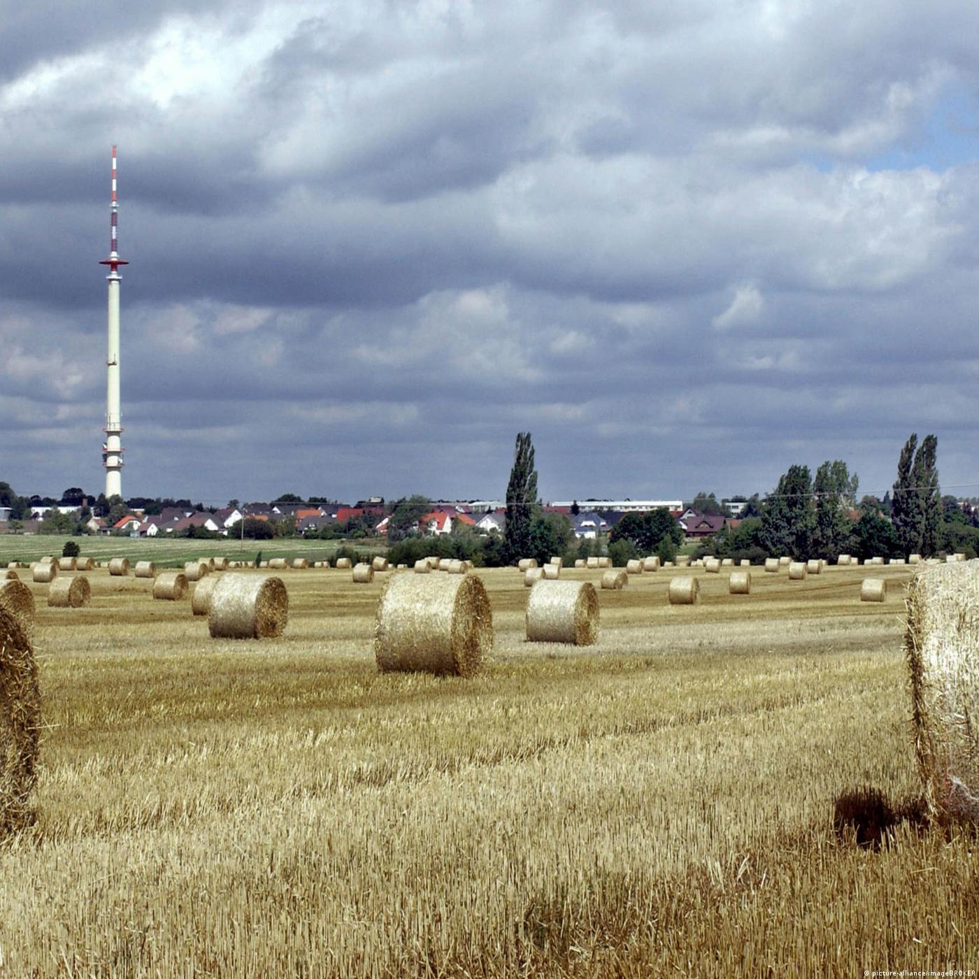Living Planet: Cleaner cities, cleaner crops