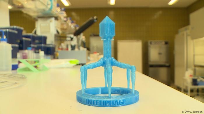 Pemakan Bakteri Dari Georgia Untuk Melawan Resistensi Antibiotik Dunia Informasi Terkini Dari Berbagai Penjuru Dunia Dw 14 12 2019 Pemakan Bakteri Dari Georgia Untuk Melawan Resistensi Antibiotik Dunia Informasi Terkini Dari Berbagai Penjuru Dunia Dw 14 12 2019