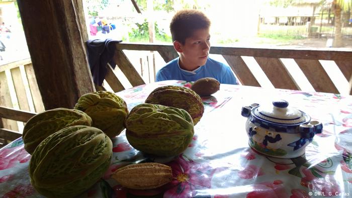 Cocina en el Amazonas: un niño sentado a la mesa, y sobre ella, frutos similares al cacao.