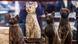 Statues of cats are displayed after the announcement of a new discovery Statues of cats are displayed after the announcement of a new discovery