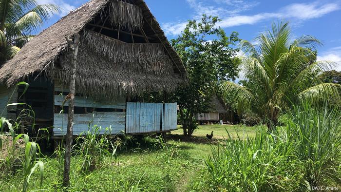 COP25: Pueblos Indígenas, los más afectados, los más invisibilizados |  Ecología | DW 