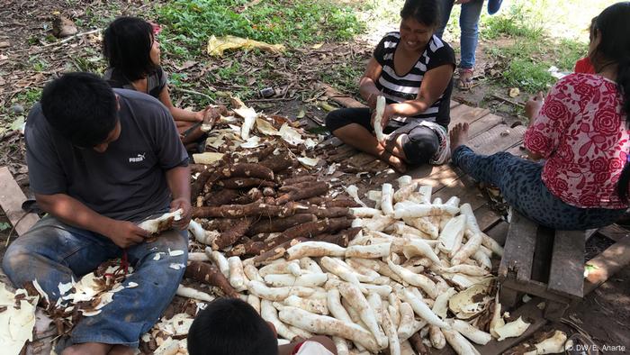 Miembros de la comunidad uchunya pelando yuca en grupo.