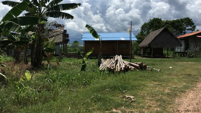 Árboles cortados para construir una casa en Santa Clara de Uchunya.