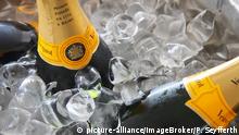Champagner im Kühler mit Eis | Verwendung weltweit, Keine Weitergabe an Wiederverkäufer.