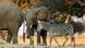 Mana Pools National Park Simbabwe Mana Pools National Park Simbabwe