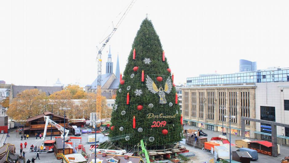The Tallest Christmas Tree In The World 2022 The Biggest Christmas Tree In The World | Euromaxx - Lifestyle In Europe |  Dw | 29.11.2019