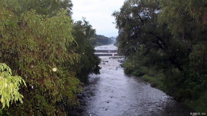El río Cuautla, en Morelos, también contaminado. 