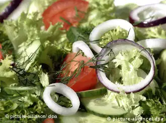 Blattsalat mit Zwiebeln, Tomaten, Gurken und frischem Dill. (Aufnahme vom 07.07.2005). Foto: MARJA AIRIO +++(c) dpa - Report+++
