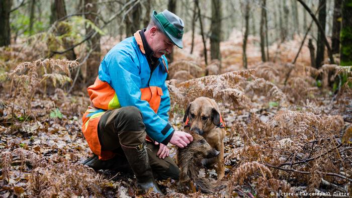 Инструктор-собаковод Рене Визе (René Wiese) и пес Отто во время обучения в лесу 