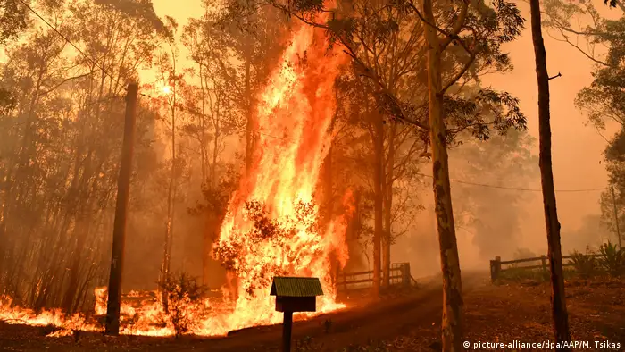 Australien Waldbrände | Südwesten von Sydney (picture-alliance/dpa/AAP/M. Tsikas)