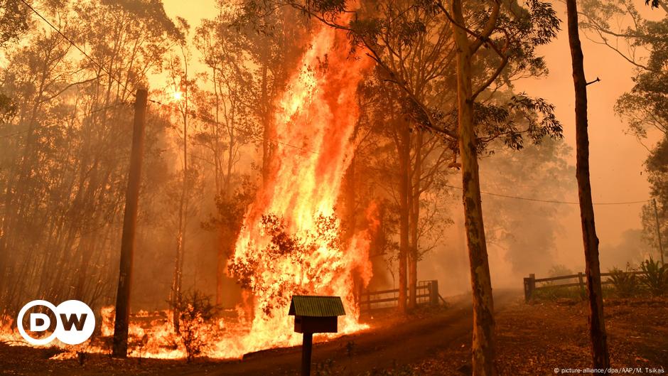 Feuer In Australien Verschmelzen Zu Mega Brand Aktuell Welt Dw 06 12 19