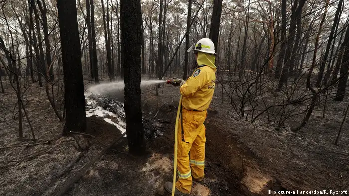 Buschbrände in Australien (picture-alliance/dpa/R. Rycroft)
