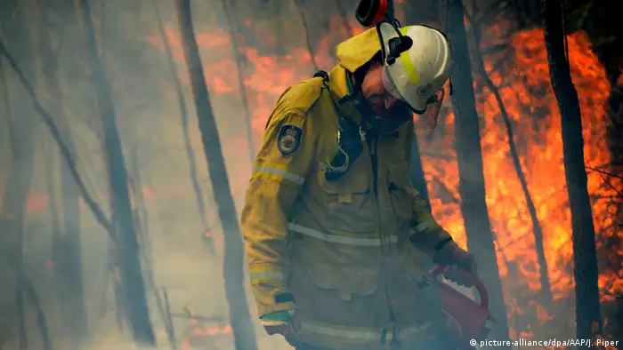 Australien Waldbrände | in Mangrove Mountain (picture-alliance/dpa/AAP/J. Piper)