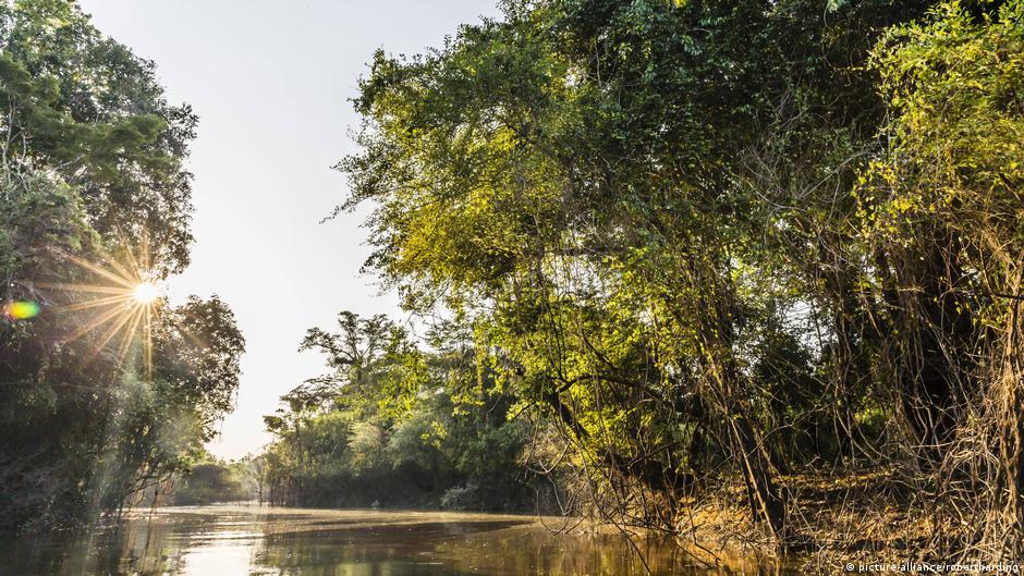 Al menos 11 víctimas deja naufragio en la Amazonía peruana | Las noticias y análisis más importantes en América Latina | DW - Vimarsana News