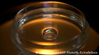 China Shenzhen | Mikroplatte mit Embryonen