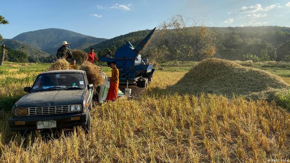 Thailand Turning straw into gold DW 12/20/2019
