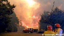 В Австралии введено чрезвычайное положение из-за лесных пожаров