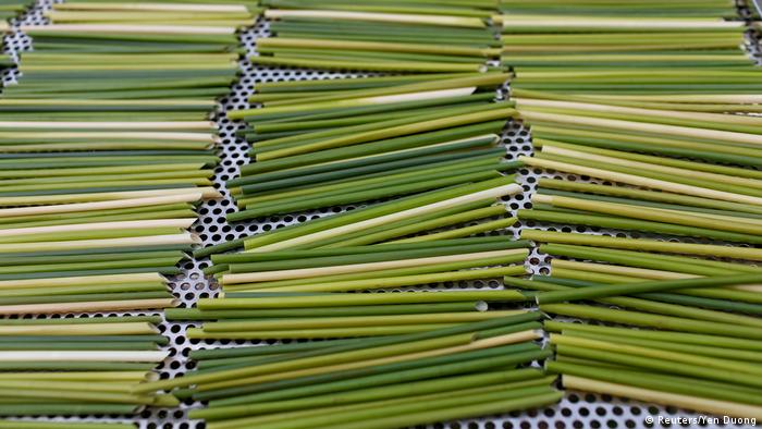 Canudinhos de bebida de bambu