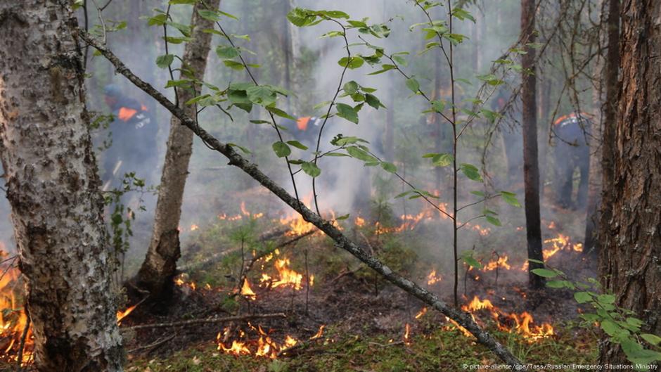 Incendios Forestales Alcanzan Nivel Crítico En Siberia Dw 27 04 2020