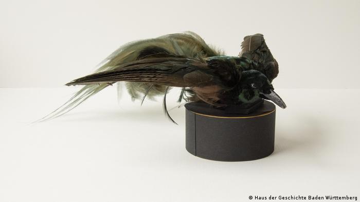 A hat as a landing site for a bird of paradise (Haus der Geschichte Baden Württemberg)